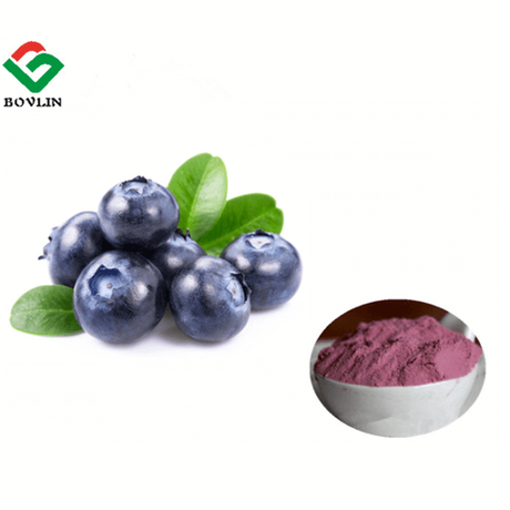 blueberry-fruit-powder.png