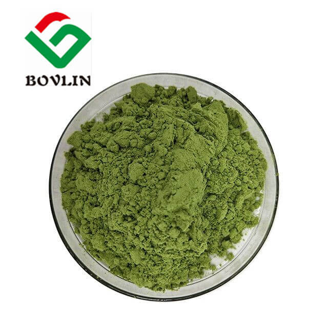Polvo de brócoli